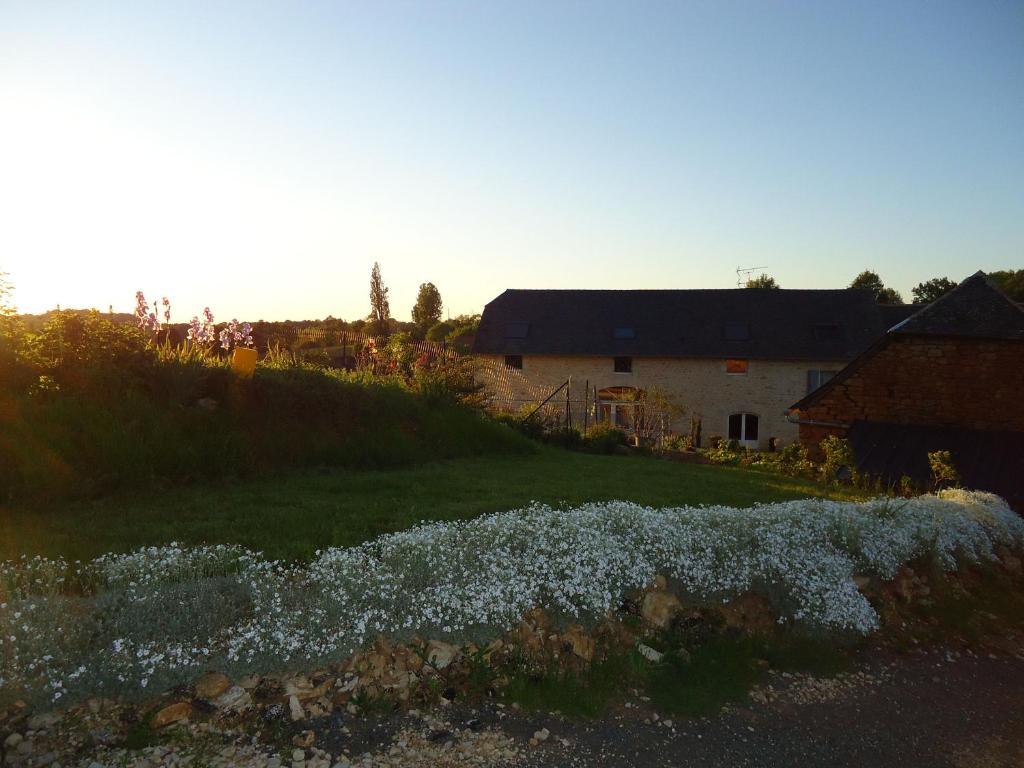 Maison D'Hotes La Maison De Leopold Terrasson Zewnętrze zdjęcie